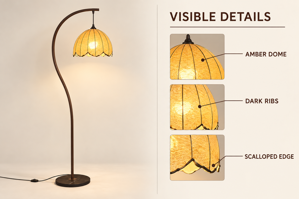 Visible details infographic for the amber dome, dark ribs and scalloped edge