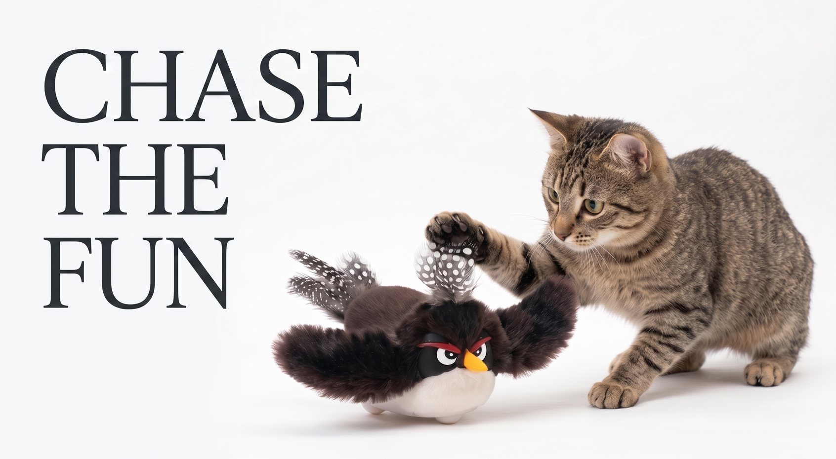 Home hero desktop cat toy CHASE THE FUN