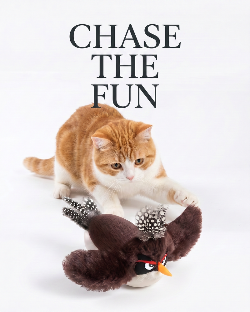 Home hero mobile cat toy CHASE THE FUN
