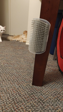 cat-self-grooming-brush-massage customer review photo 11