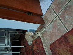 cat-self-grooming-brush-massage customer review photo 20