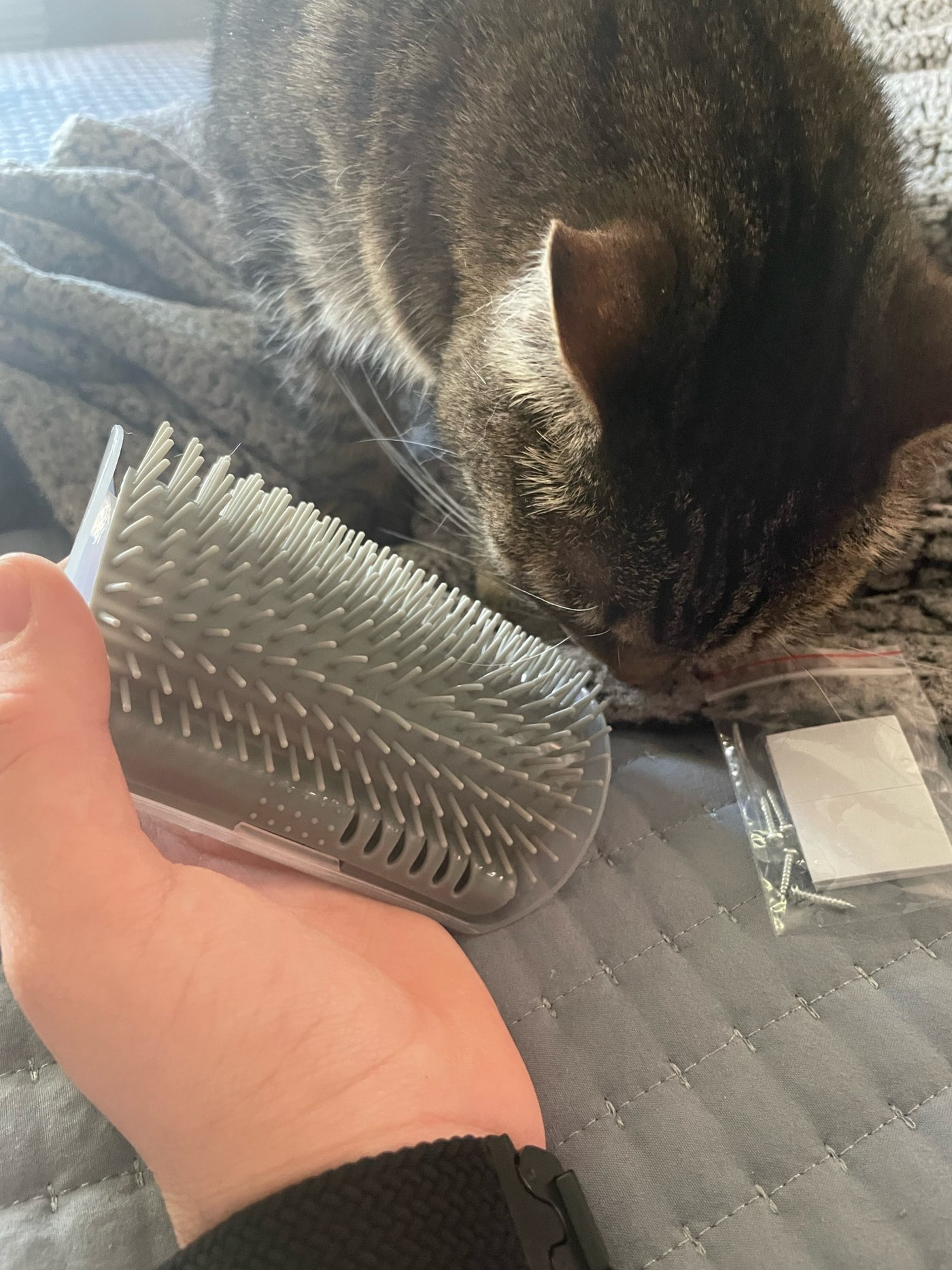 cat-self-grooming-brush-massage customer review photo 26