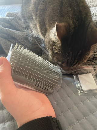 cat-self-grooming-brush-massage customer review photo 26