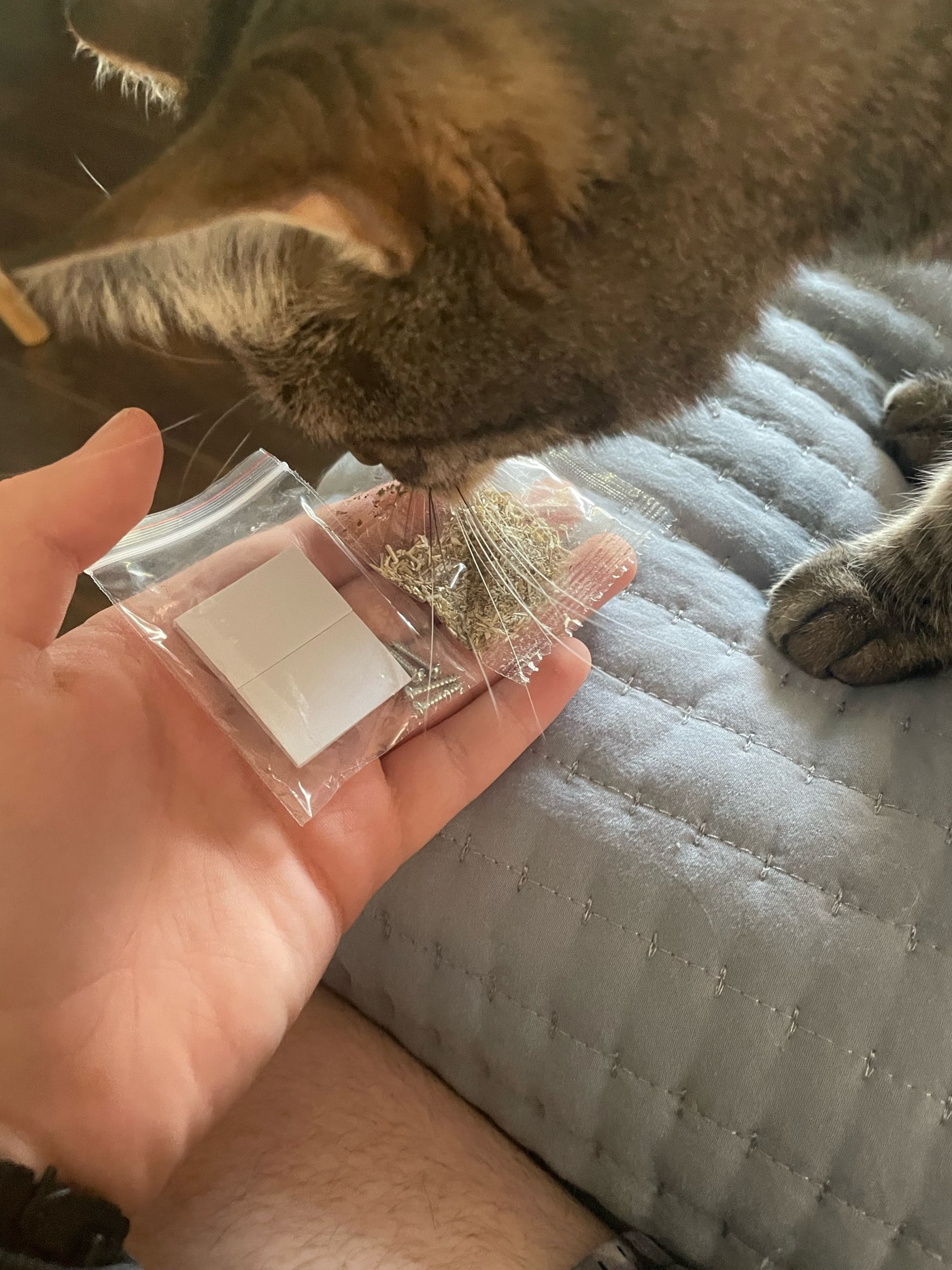 cat-self-grooming-brush-massage customer review photo 26
