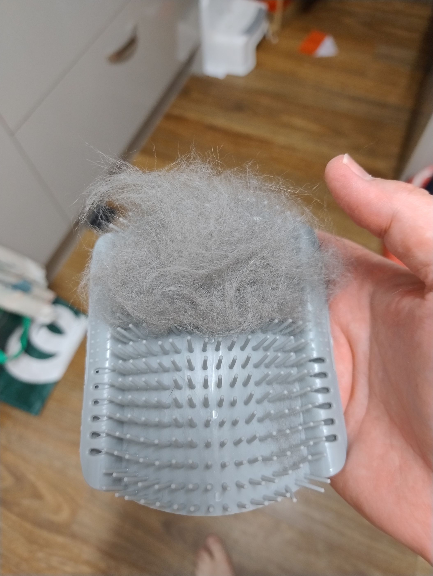 cat-self-grooming-brush-massage customer review photo 2