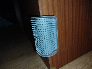 cat-self-grooming-brush-massage customer review photo 3