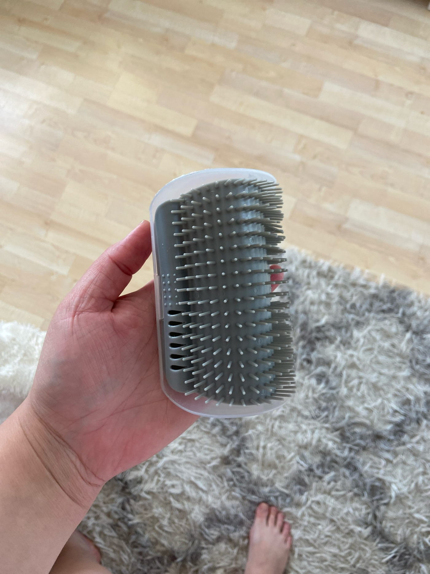 cat-self-grooming-brush-massage customer review photo 42