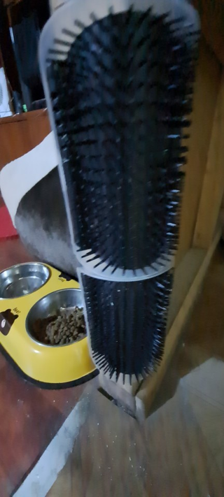 cat-self-grooming-brush-massage customer review photo 5
