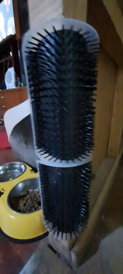 cat-self-grooming-brush-massage customer review photo 5