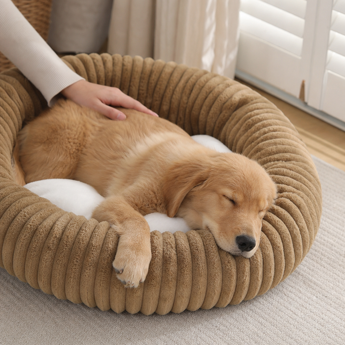 They curl in and drift off