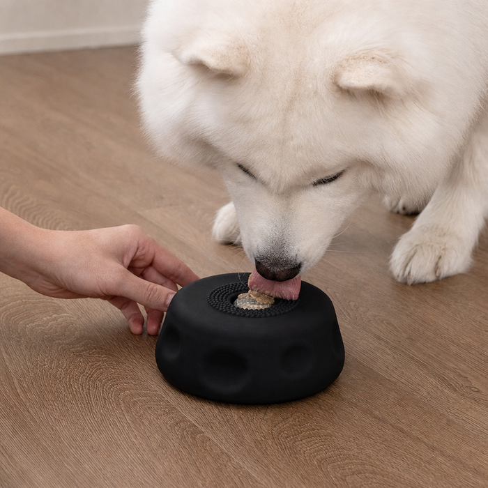 Let your pet lick it out