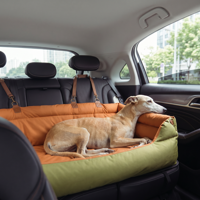 Let your dog settle