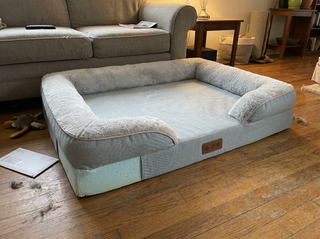 removable-memory-foam-pet-bed-everyday-essential customer review photo 1