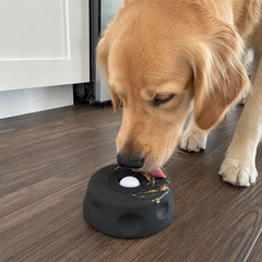 slow-feed-bowl customer review photo 2