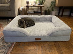 removable-memory-foam-pet-bed-everyday-essential customer review photo 2