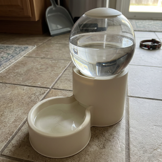 pet-feeder customer review photo 3