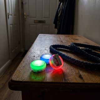led-pet-safety-light-for-dogs customer review photo 3