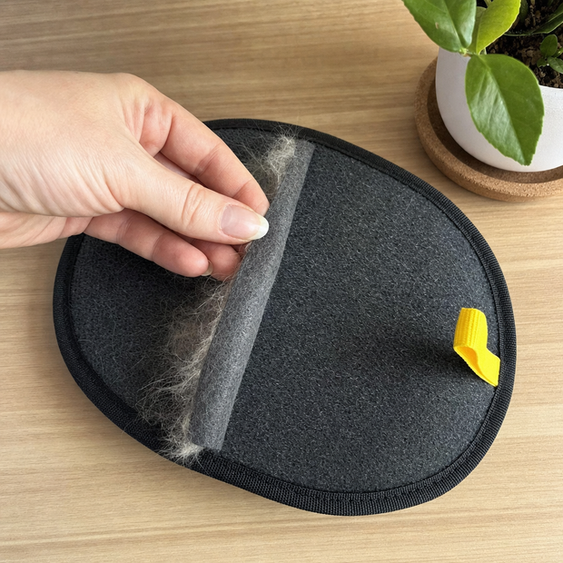 pet-electrostatic-hair-removal-gloves-household-sofa-clothes-brush-two-way-lint customer review photo 4
